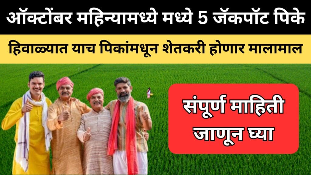 हिवाळी पिके : Top 6 Hiwali Pike farmers 